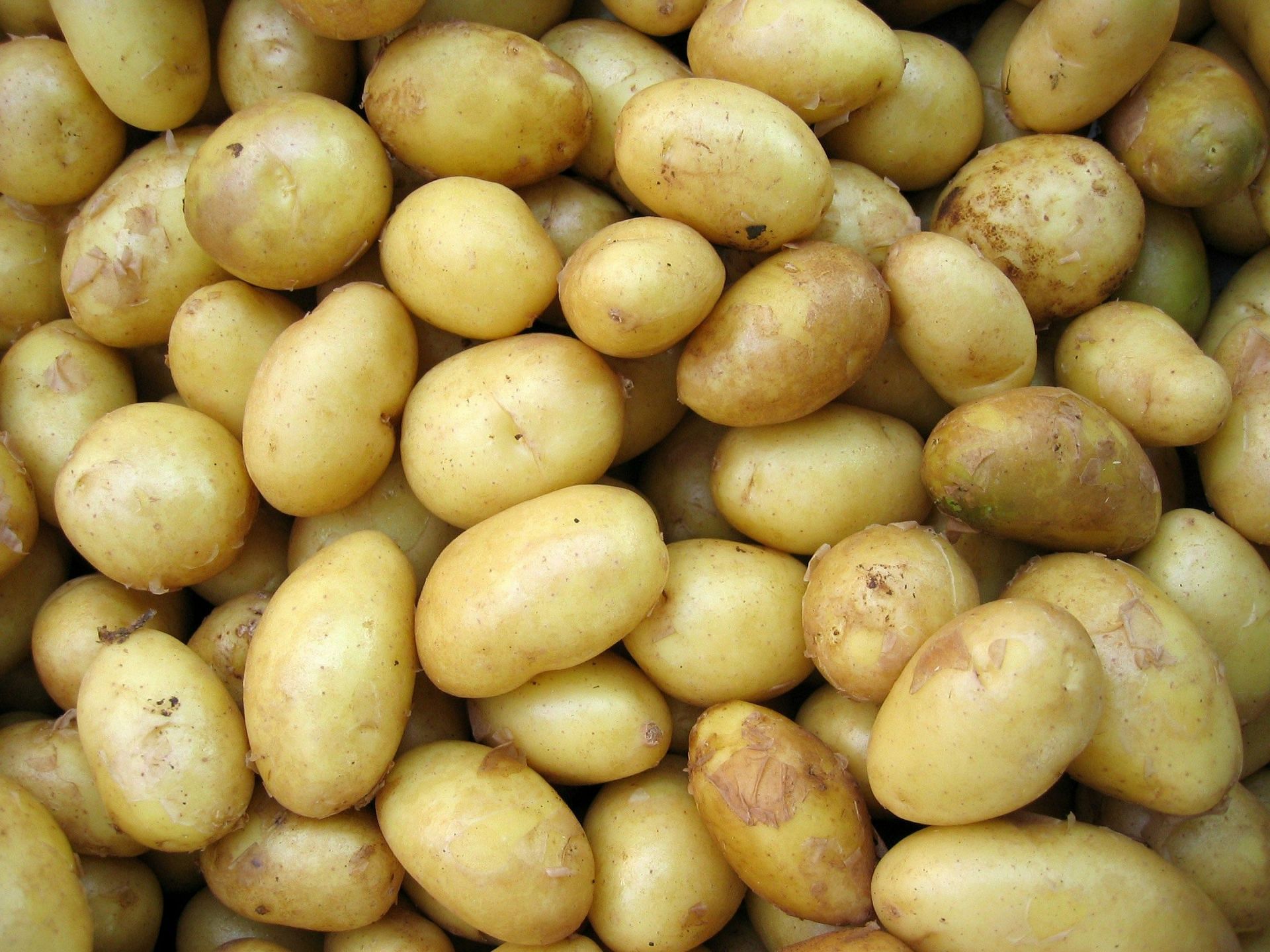 Potatoes come under the list of foods to avoid with kidney stones(Image by Hai Nguyen/Unsplash)